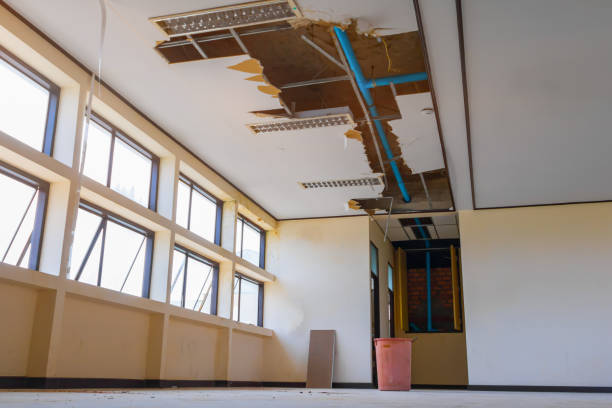 Best Commercial water damage restoration  in Cactus, TX