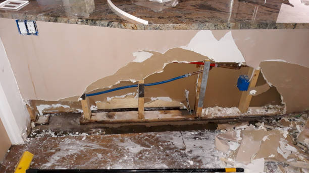 Best Flood damage cleanup  in Cactus, TX