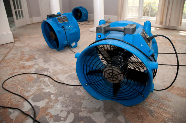 Best Commercial water damage restoration  in Cactus, TX