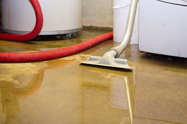 Best Emergency water damage restoration  in Cactus, TX
