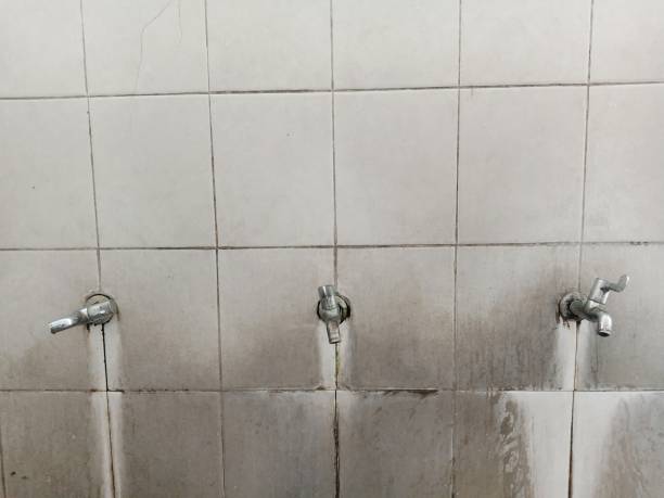 Best 24-hour water damage restoration  in Cactus, TX