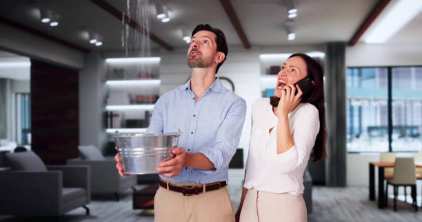 Best Water damage restoration specialists  in Cactus, TX